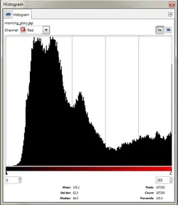 R_channel.webp