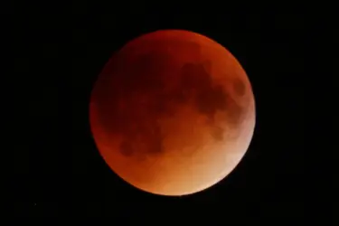 bloodmoon4.webp