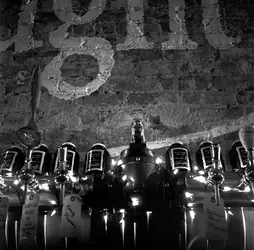 Taps straight scan adjusted.webp