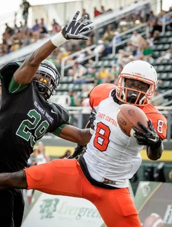 ECU-OBU-284.webp