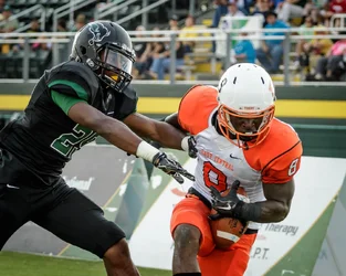 ECU-OBU-287.webp