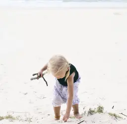 image.webp
