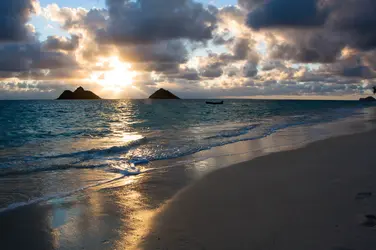 _MG_3765-1.webp