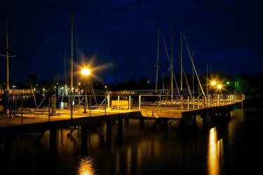 Morningwalk-3-Edit.webp