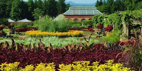 biltmore_gardens.webp