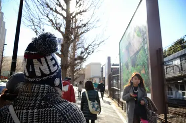 DSC_1018.webp