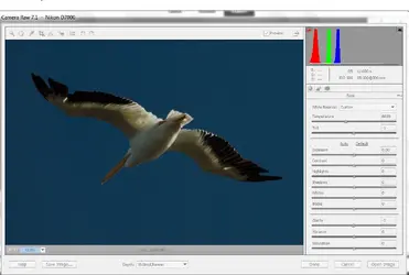 Pelican Histogram.webp