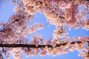 D3X_2985_28-105 LAA.webp