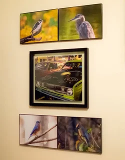 12274378_10201137911326106_3518306295697081530_n.webp 12274378_10201137911326106_3518306295697081530_n.webp
