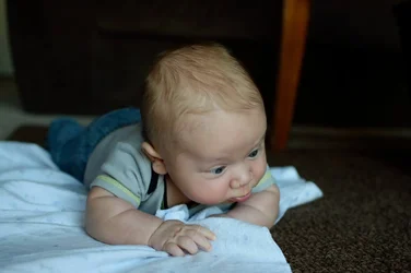 charlie.webp