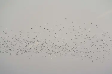 DSCF2572.webp