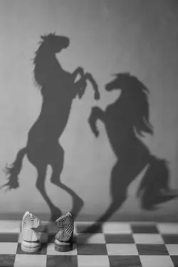 Duel (Shadow)-2.webp
