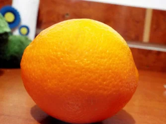 Macro1.webp