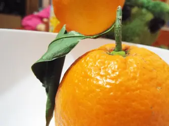 DSCF3877.webp