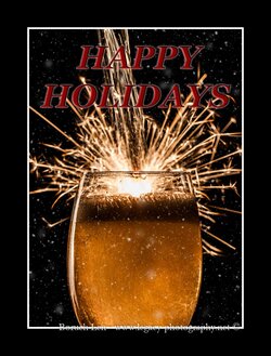 Happy Holidays - champagne and glass with snow - black border.jpg