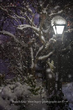 Winter - Light on post with fence and tree with berries in snow at night.jpg