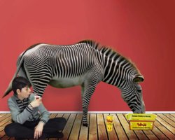 Zebra-and-me.jpg