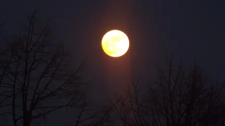 DSCF4851.webp