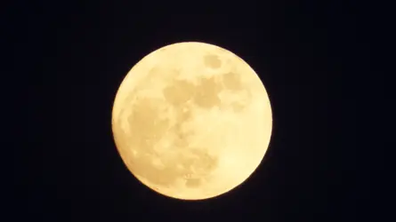 DSCF4853.webp
