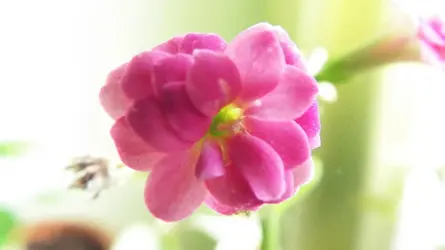 DSCF5008.webp