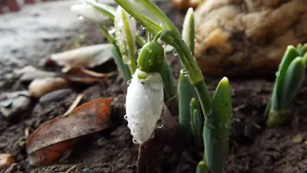 DSCF5078.webp