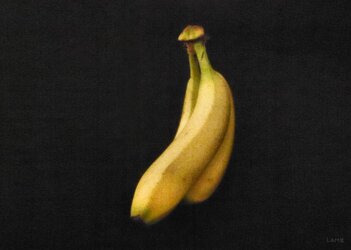 A2 Bananas.jpgsigg.jpg