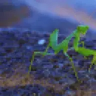 land_scaper