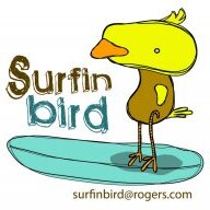 surfinbird