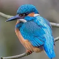 uk_mark