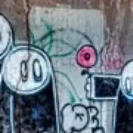 nos33