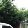 ratansaini