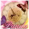 PandaPhotography