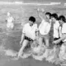 poa1954