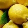 lemon