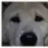 baillieogrady