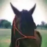 faustinblack