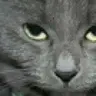 Caiterz