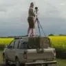 ImckeP