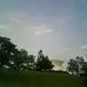 greenbee