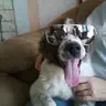 dfwnoff