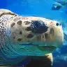Mom23fish