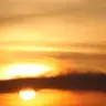 gozooming