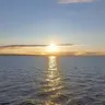Cordao