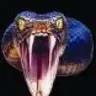 The Snake Guru