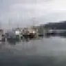 Almo99