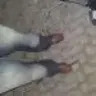 bolanegra