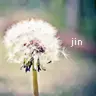 Jin