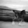 tarnia_k