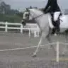 mom.of.many.horses