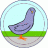Pigeon Chaser